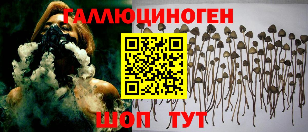 Саратов  Галлюциногенные грибы Psilocybine cubensis  Псилоцибиновые грибы мухоморы  Вход с VPN 